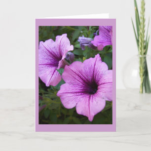 Sjabloon Petunia Card