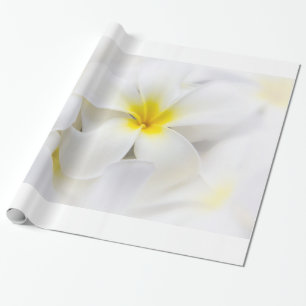 Sjabloon Plumeria Frangipani Hawaii Flower Flowers Cadeaupapier