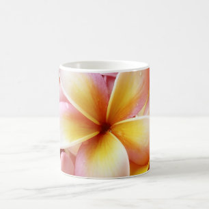 Sjabloon Plumeria Frangipani Hawaii Flower Flowers Koffiemok