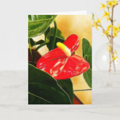 Sjabloon Rode anthurium Floral fotografie (Gele Bloem)