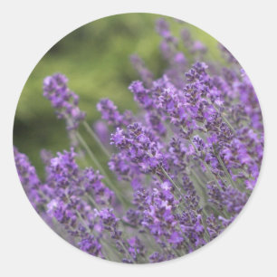 Sjabloon Sticker vullen - Gepersonaliseerd