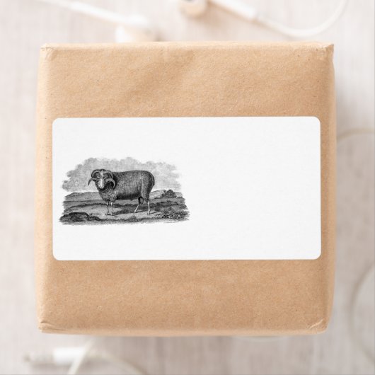  Sjabloon van 1800 Merino Sheep Ram Lamb Etiket (Insitu)