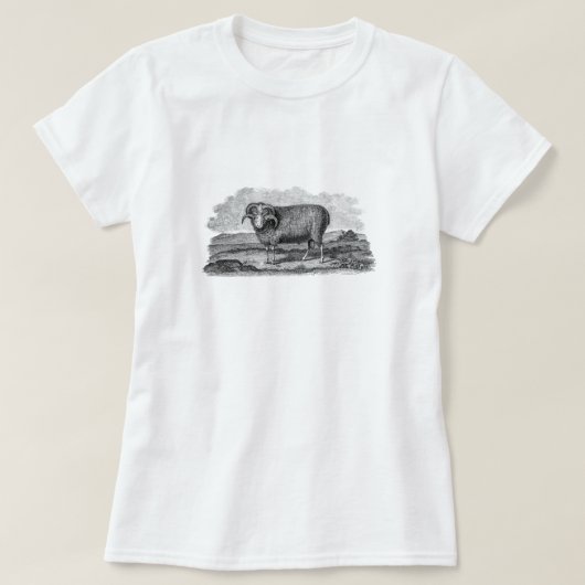  Sjabloon van 1800 Merino Sheep Ram Lamb T-shirt (Design voorkant)