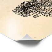 Sjabloon van 1800s van de Vergroting van de Illus Foto Afdruk (Hoek)