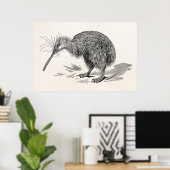  Sjabloon van Antiek vogelvogels Kiwi Poster (Thuiskantoor)