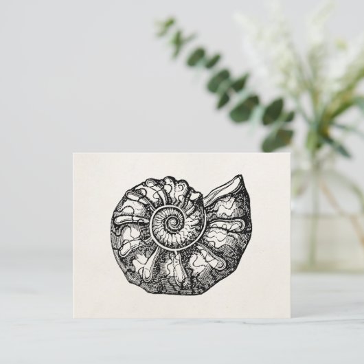 Sjabloon van de  Ammonite Seashell Fossil Shell Briefkaart (Staand voorkant)