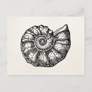 Sjabloon van de Ammonite Seashell Fossil Shell Briefkaart