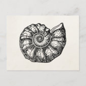Sjabloon van de  Ammonite Seashell Fossil Shell Briefkaart (Voorkant)