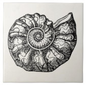 Sjabloon van de  Ammonite Seashell Fossil Shell Tegeltje (Voorkant)