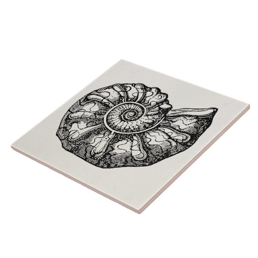 Sjabloon van de  Ammonite Seashell Fossil Shell Tegeltje (Zijkant)