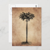 Sjabloon van de palmboom op het eiland Blank Briefkaart (Voorkant / Achterkant)