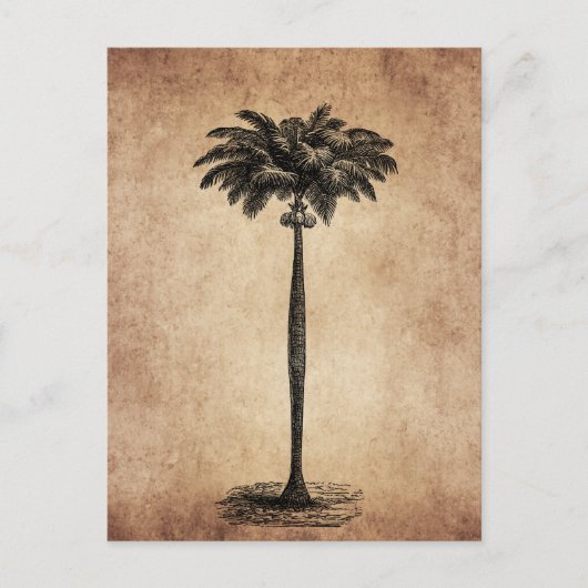 Sjabloon van de palmboom op het eiland Blank Briefkaart (Voorkant)