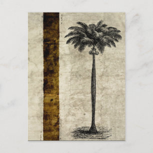  Sjabloon van de palmboom op het eiland Blank Briefkaart