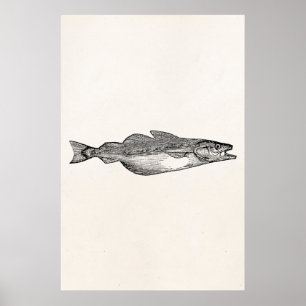 Sjabloon van de Pollack Fish - Aquatic Fishing Poster