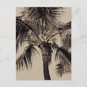 Sjabloon van de Sepia Retro Hawaiian palm Briefkaart