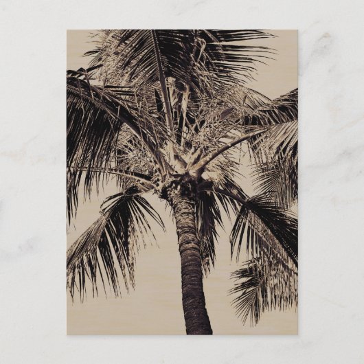 Sjabloon van de Sepia Retro Hawaiian palm Briefkaart (Voorkant)