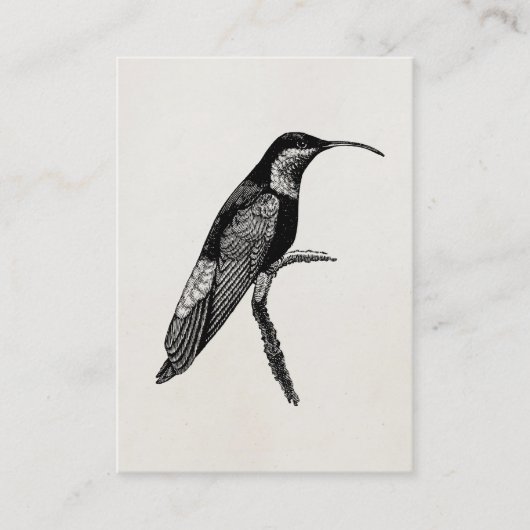 Sjabloon  vogelvogelillustratie visitekaartje (Voorkant)