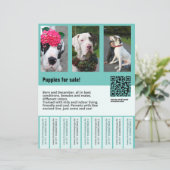sjabloon voor de verkoop van honden (Staand voorkant)