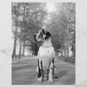 sjabloon voor honden afdrukbaar flyer (Achterkant)