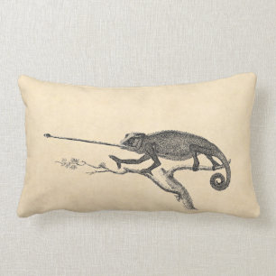 Sjabloon voor illustratie van vintage hagedis kame kussen
