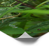 sjabloon voor poster (Hoek)