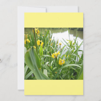 Sjabloon weddenschappen kaart