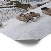 Sjeep in sneeuw poster (Hoek)