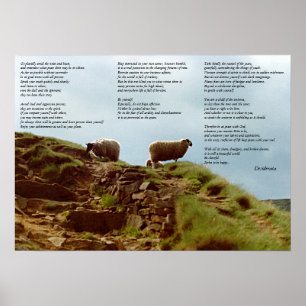 Sjeep zwijgend over Mountain Desiderata Poster