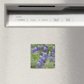 SJefferson Texas Bluebonnets Series #2 Magneet (Insitu (Vaatwasser))