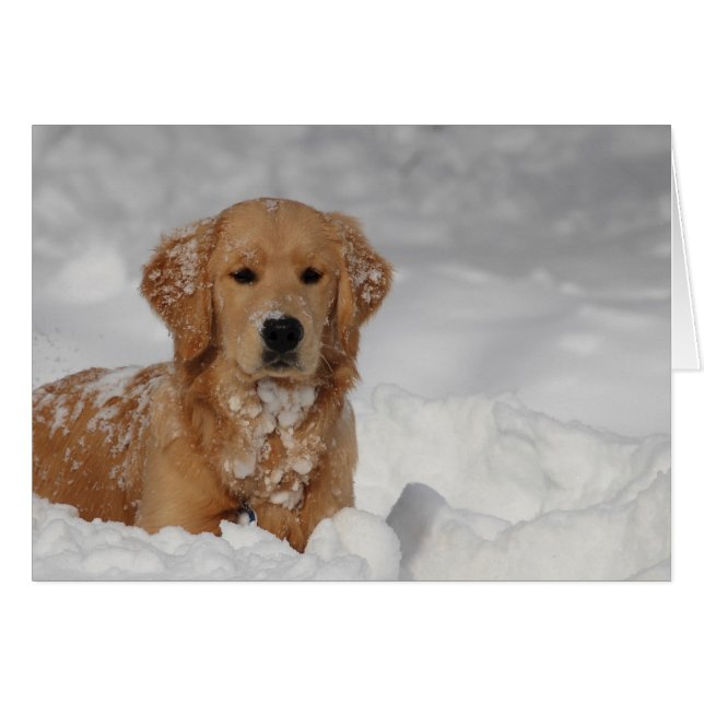 Sjhh, sneeuw! (Voorkant Horizontaal)