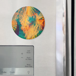 Sjoppen, schelpdieren, kasten, kastelen, schelpen, magneet