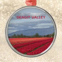 Skagit Valley Washington State Prachtige Tulp