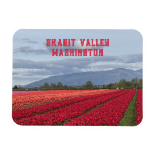 Skagit Valley Washington State Tulpveld Koelkastma Magneet