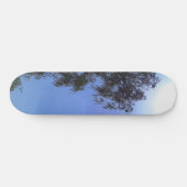 SKATEBOARD (Horizontaal)
