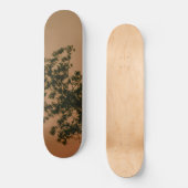 Skateboard (Recto)