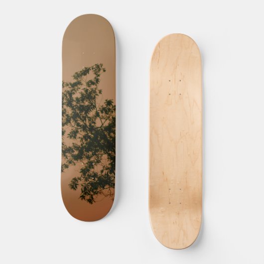 Skateboard (Recto)