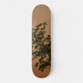 Skateboard (Recto)