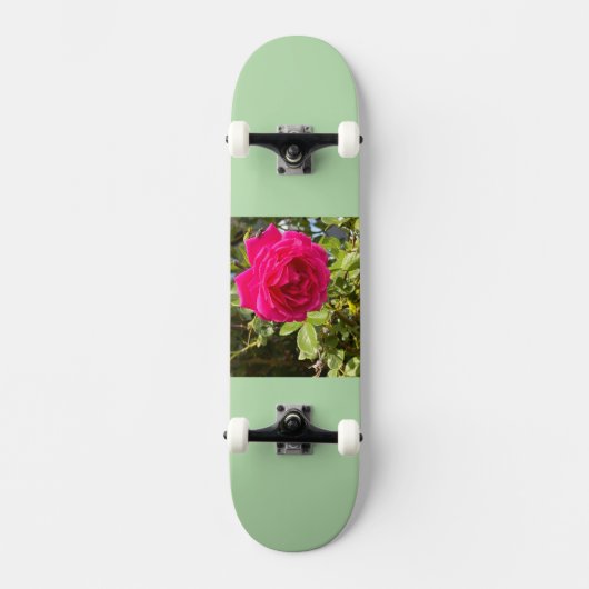Skateboard (Voorkant)