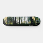 Skateboard 1, lithium (Horz)