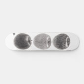 SKATEBOARD 3個のりんご　縦 (Horz)