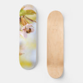 Skateboard Abeille Sur Une Fleur De Cerise (Recto)