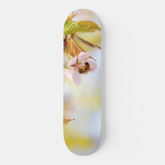 Skateboard Abeille Sur Une Fleur De Cerise (Recto)