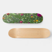 Skateboard Abondance (Horz)