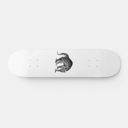 Skateboard abstrait de chat effrayé (Horz)