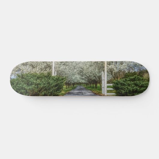 Skateboard Accueil du lecteur Spring (Horz)