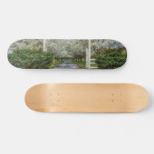 Skateboard Accueil du lecteur Spring (Horz)