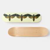 Skateboard Acherontia atropos (Horz)