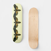 Skateboard Acherontia atropos (Recto)