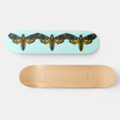 Skateboard Acherontia atropos (Moelle Hawkmoth de la tête de  (Horz)