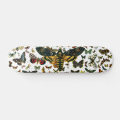 Skateboard Acherontia atropos (Moelle Hawkmoth de la tête de (Horz)